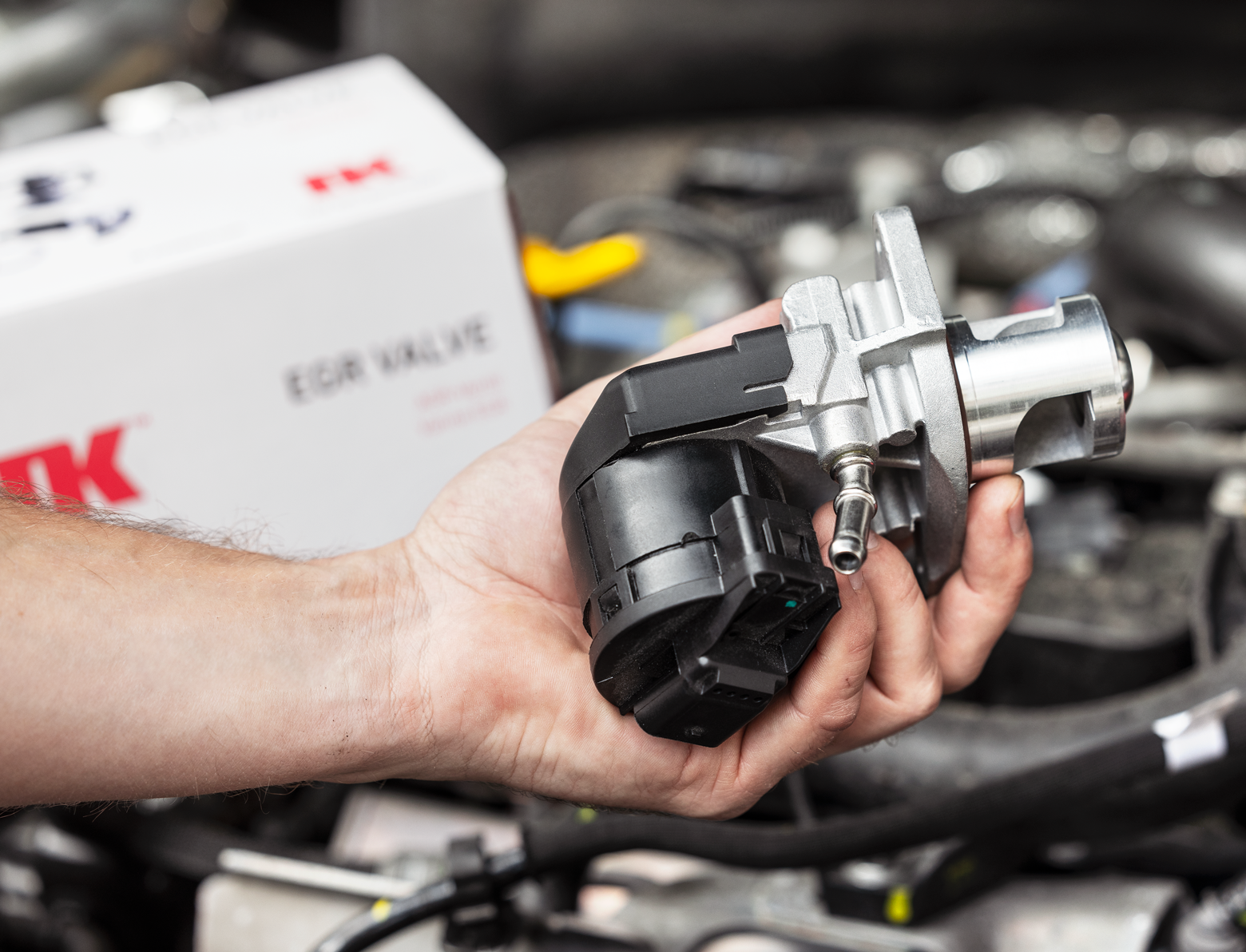EGR In Front Of Motor Web